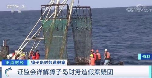 獐子島扇貝六年四逃之謎 北斗衛星揭穿彌天大謊，畜牧漁業飼料警示錄